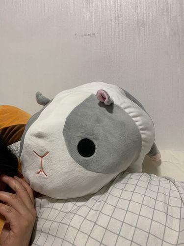 Customer photo review of Adorable Lying Guinea Pigs Squad