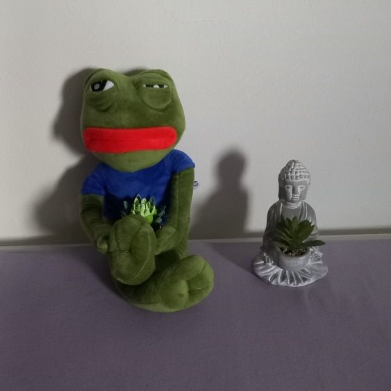 Customer photo review of Pepe The Frog Plushie 18" Sad Frog Meme Soft Stuffed Poseable Plush Toy: Hilarious Cuddle Buddy Meme Doll The Perfect Gift