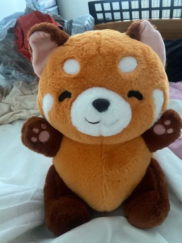 Customer photo review of Chai the Kawaii Red Panda Plushie