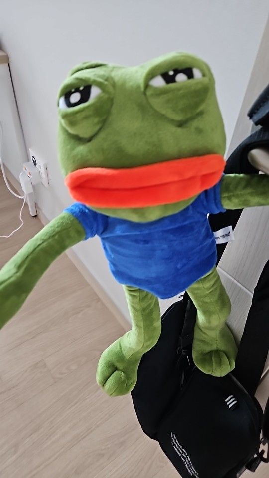Customer photo review of Pepe The Frog Plushie 18" Sad Frog Meme Soft Stuffed Poseable Plush Toy: Hilarious Cuddle Buddy Meme Doll The Perfect Gift