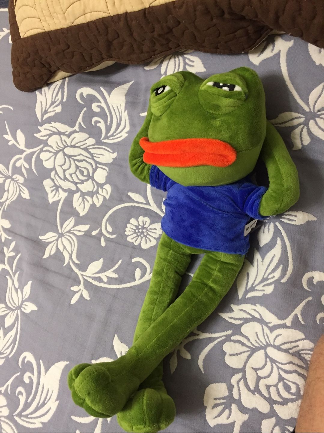 Customer photo review of Pepe The Frog Plushie 18" Sad Frog Meme Soft Stuffed Poseable Plush Toy: Hilarious Cuddle Buddy Meme Doll The Perfect Gift