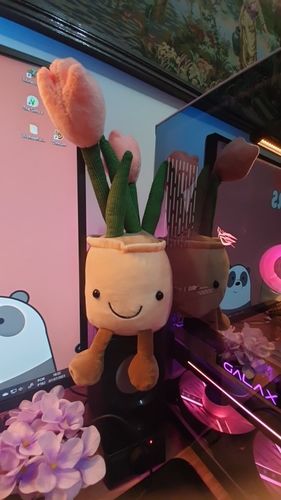 Customer photo review of Bubbly Tulip Flower Pot Plush