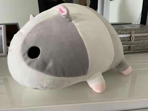 Customer photo review of Adorable Lying Guinea Pigs Squad