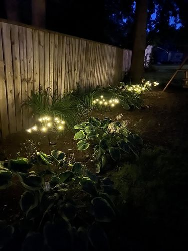 Customer photo review of Solar Firefly Sparkle Garden Lights