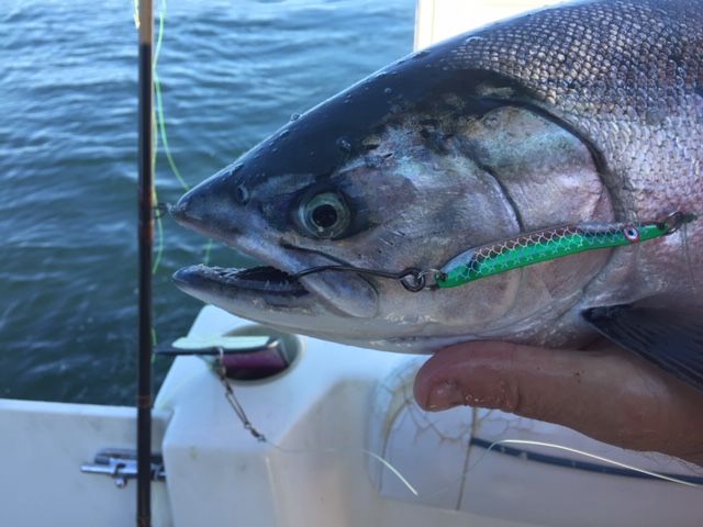 Customer photo review of Lure of the Month Club