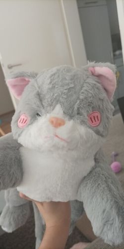 Customer photo review of Kawaii Grey Half Cat Half Shark Combo Plushie