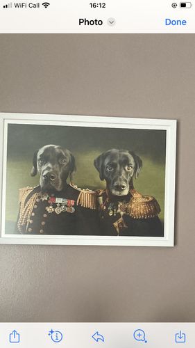 Customer photo review of The Earl & The General - Custom Pet Portrait