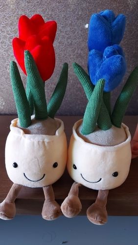 Customer photo review of Bubbly Tulip Flower Pot Plush