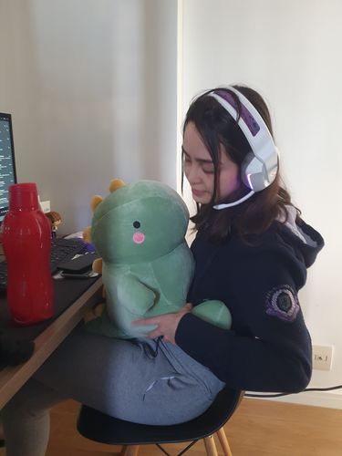 Customer photo review of Taco, Taki & Tabi The Dino Family Plushies