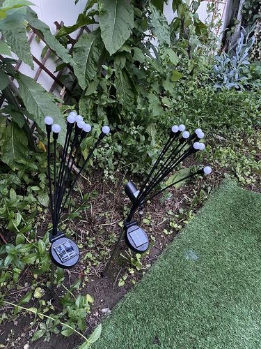 Customer photo review of Solar Firefly Sparkle Garden Lights