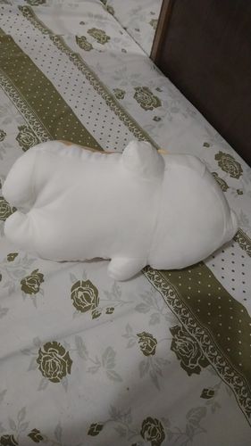 Customer photo review of Corgi Cuddle Buddies