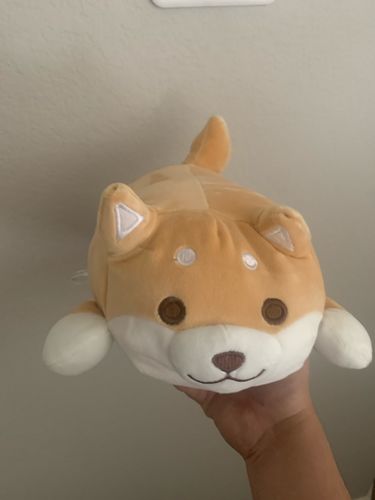 Customer photo review of Corgi Cuddle Buddies
