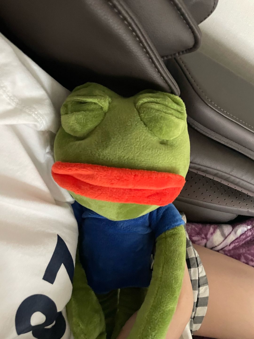 Customer photo review of Pepe The Frog Plushie 18" Sad Frog Meme Soft Stuffed Poseable Plush Toy: Hilarious Cuddle Buddy Meme Doll The Perfect Gift