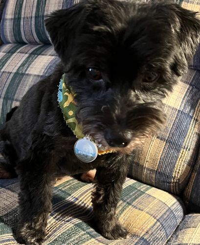 Customer photo review of Explorer