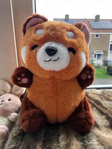 Customer photo review of Chai the Kawaii Red Panda Plushie