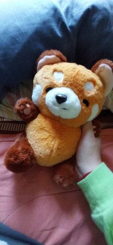 Customer photo review of Chai the Kawaii Red Panda Plushie
