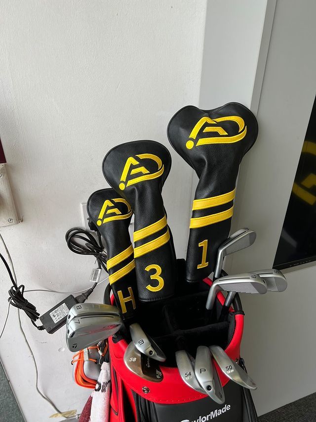 Customer photo review of Personalized White Stripes Wood Head Cover With Your Logo And Name