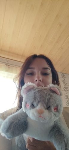 Customer photo review of Kawaii Grey Half Cat Half Shark Combo Plushie