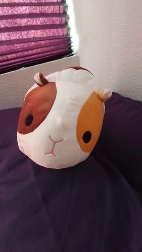 Customer photo review of Adorable Lying Guinea Pigs Squad