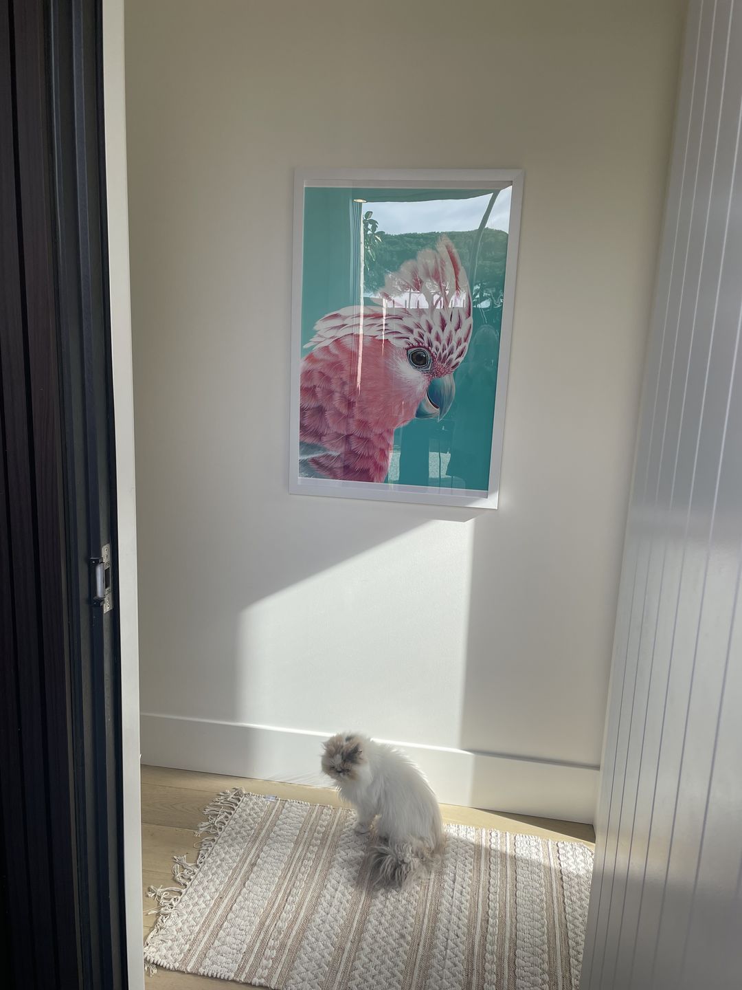 Customer photo review of 'Charlie' - Fine art Print - Paper