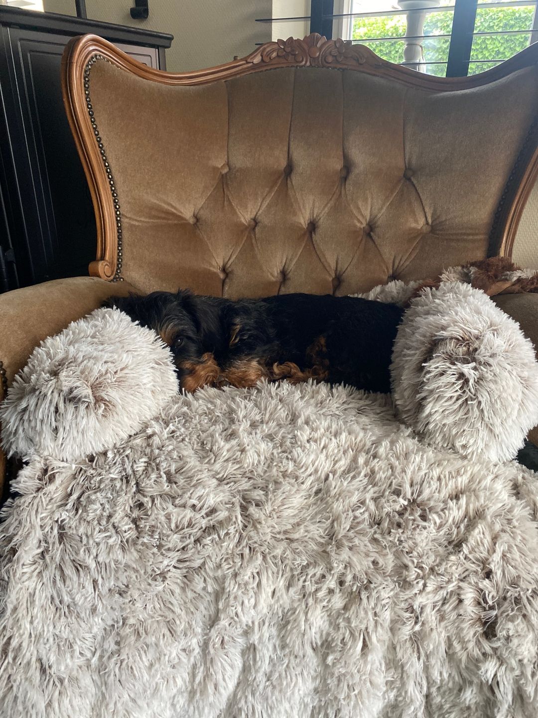 Customer photo review of Couch Pillow