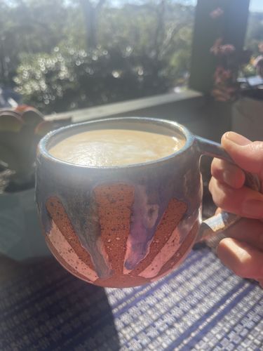 Customer photo review of Organic 7 Mushroom Extract - Chaga, Reishi, Cordyceps, Maitake, Shiitake, Lion's Mane, Turkey Tail