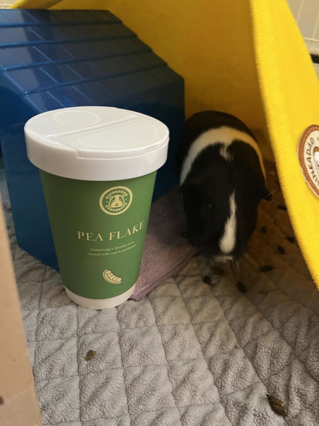 Customer photo review of Pea Flakes Treat Cup