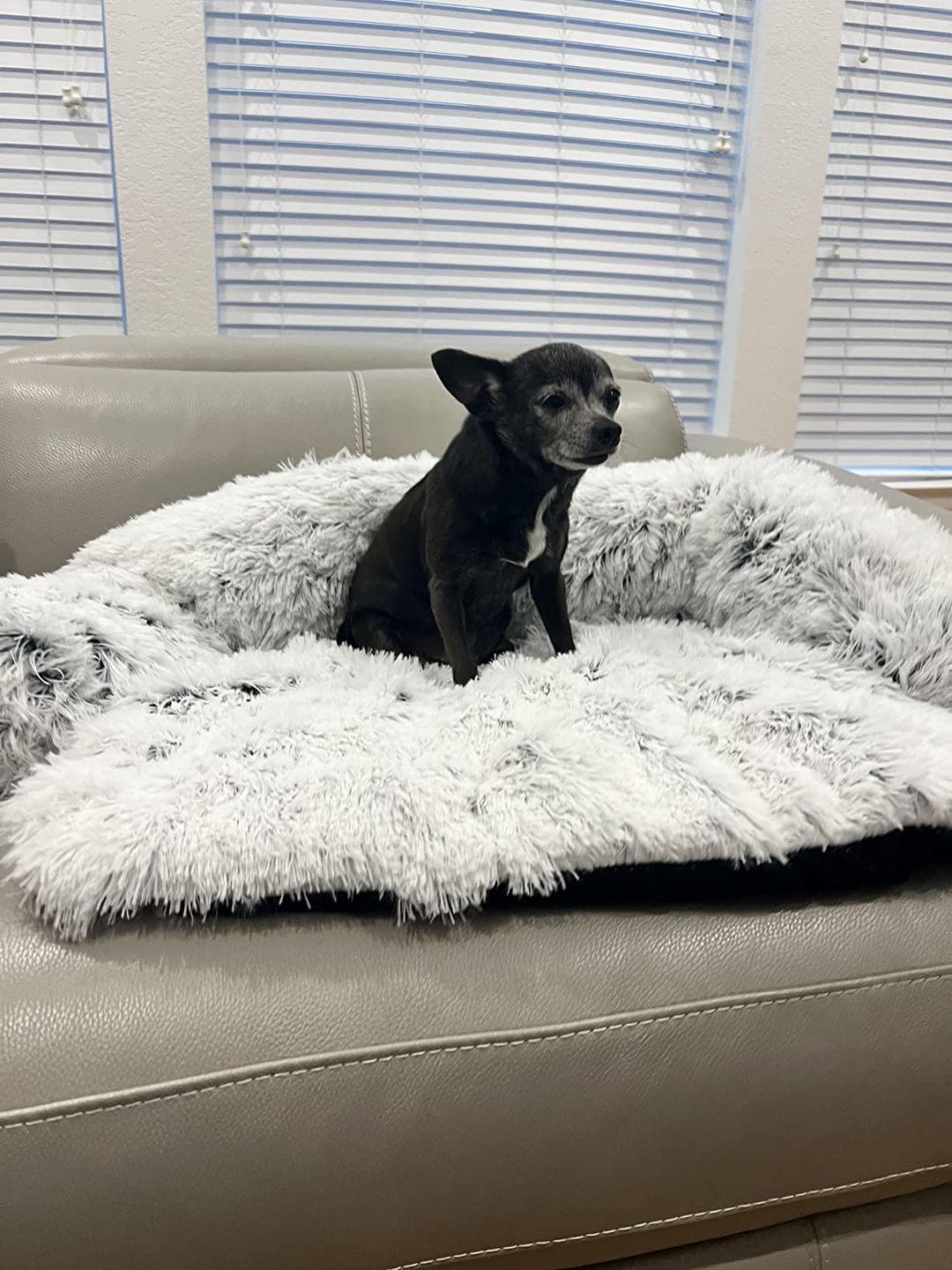 Customer photo review of Couch Pillow