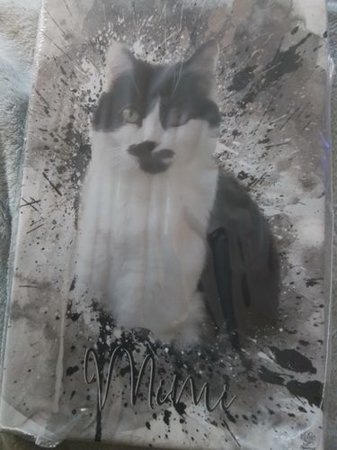 Customer photo review of Graffiti Pawtrait
