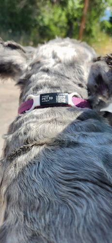 Customer photo review of ByteTag Slide