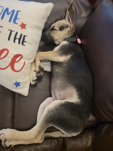 Customer photo review of Pink Silicone