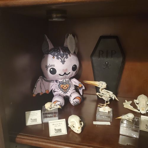 Customer photo review of Frankie the Modeling Bat