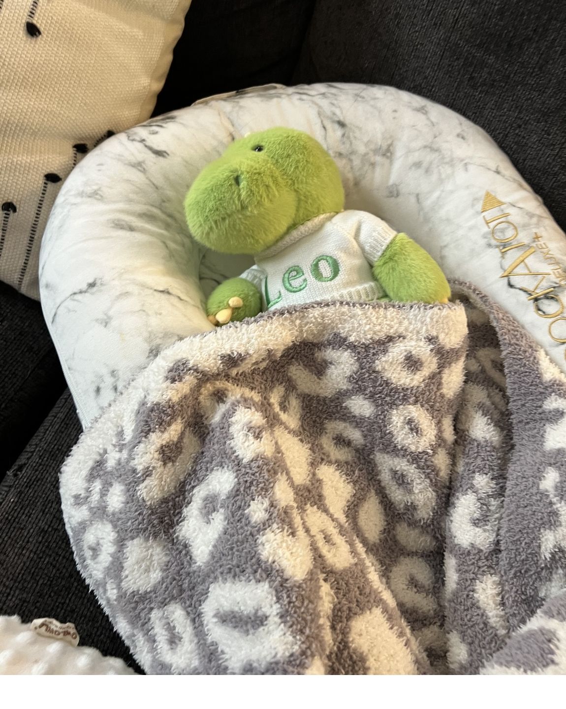 Customer photo review of Eddy the Dino