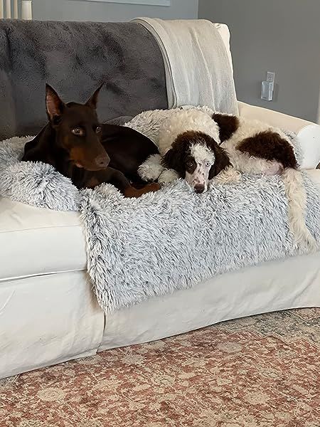 Customer photo review of Couch Pillow