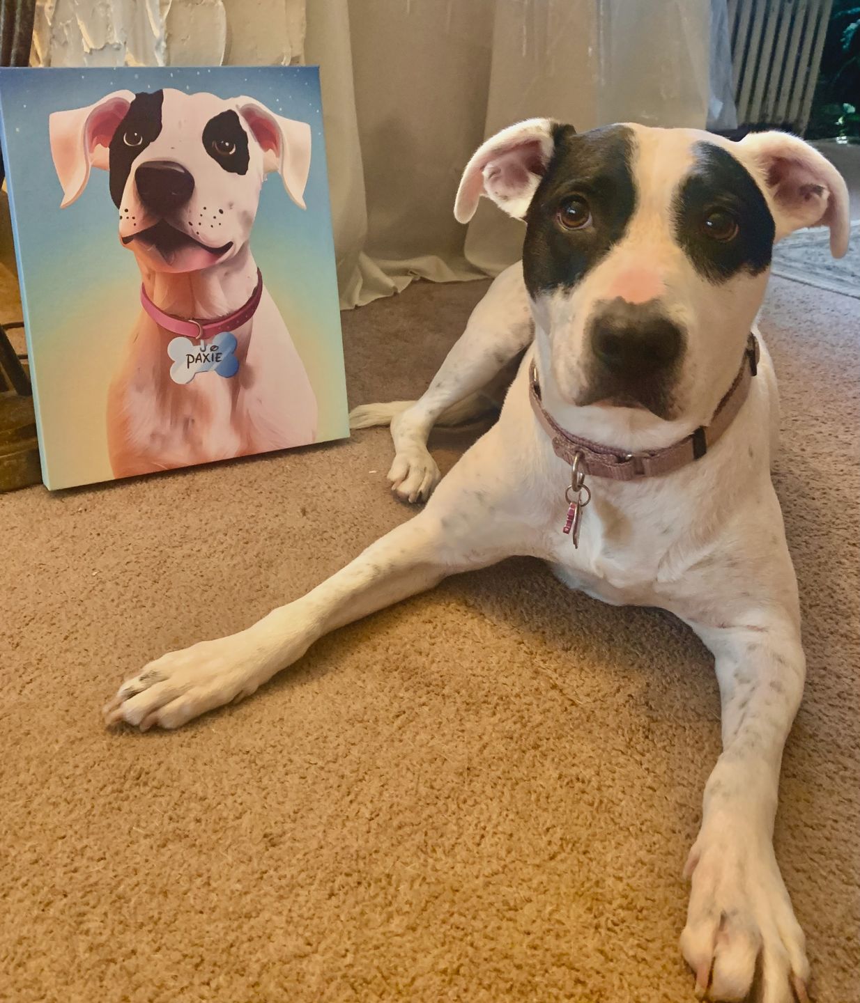 Customer photo review of Custom Pet Portrait