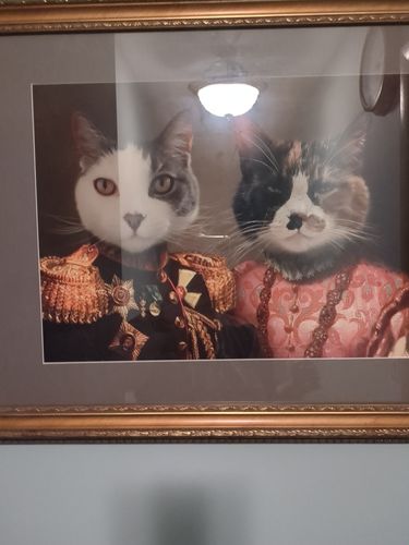 Customer photo review of The General & The Duchess  – Custom Vintage Pet Portrait
