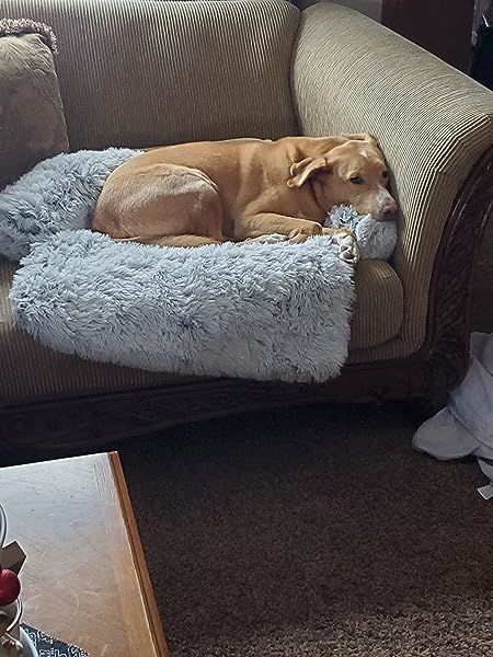 Customer photo review of Couch Pillow