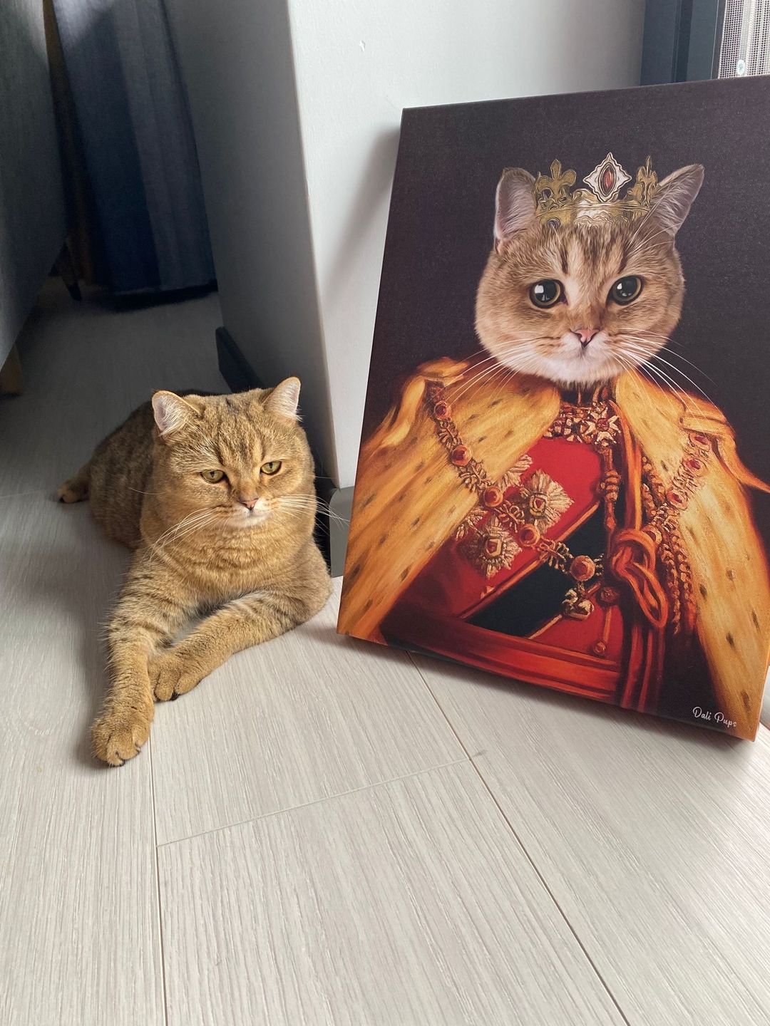 Customer photo review of The King of the Seven Kingdoms
