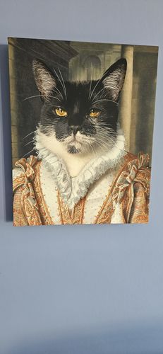 Customer photo review of The Princess – Custom Vintage Pet Canvas