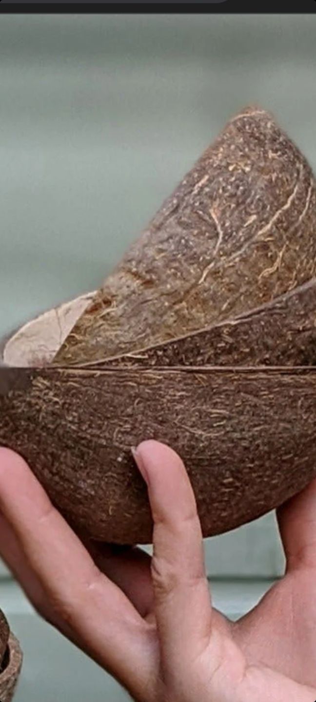 Customer photo review of 100% Natural Oval Coconut Shell Bowl
