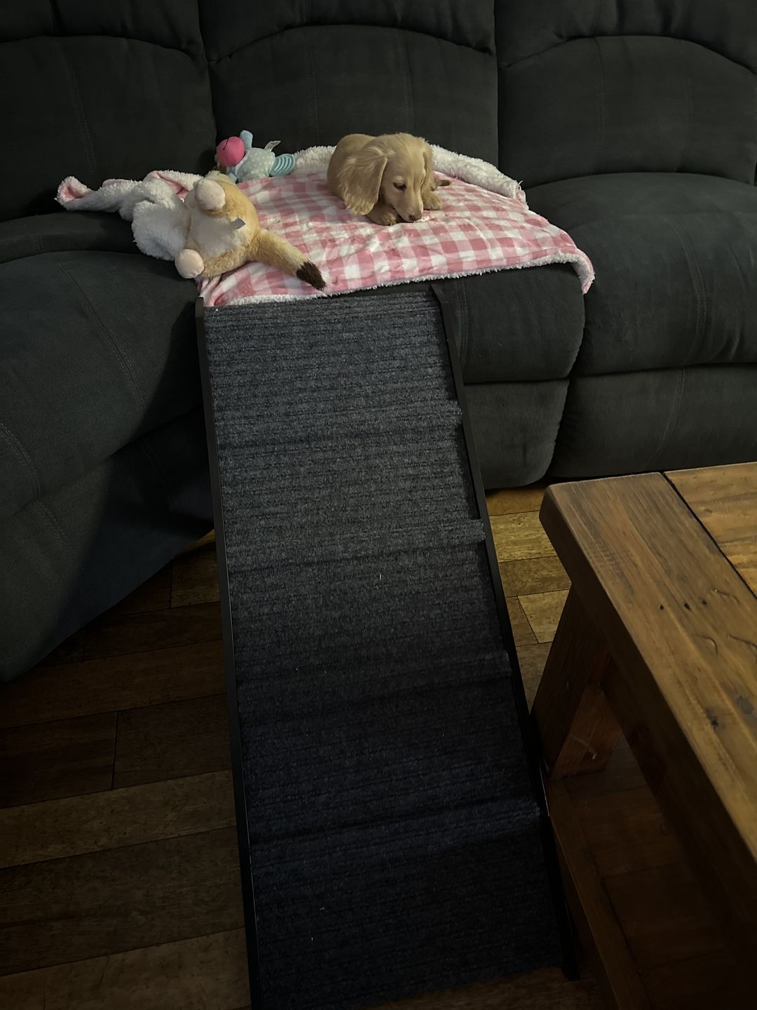 Customer photo review of PaWz Adjustable Dog Ramp