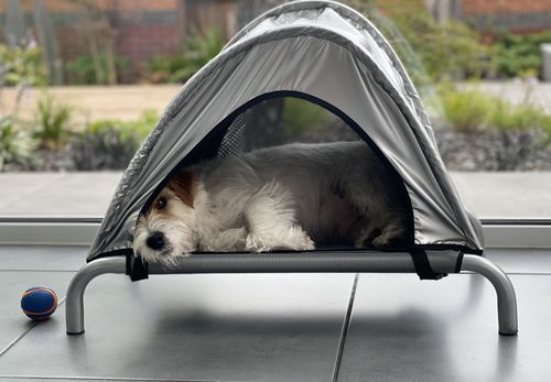 Customer photo review of HiK9 Bed with Grey Mesh Cover