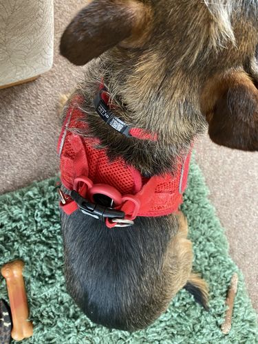 Customer photo review of ByteTag Slide