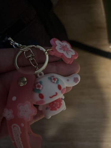 Customer photo review of Serenityll™ Sanrio surprise gift box