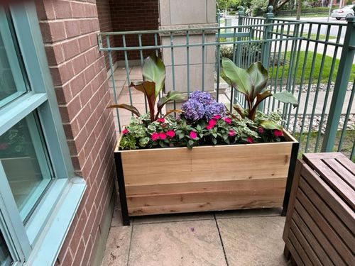 Customer photo review of 18" x 48" Planter Box - 24" Tall