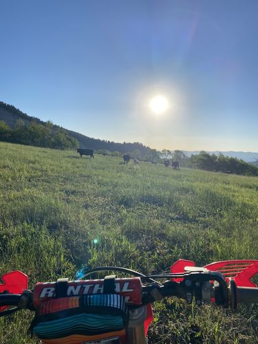 Customer photo review of Bar Bag 9000 - Baja