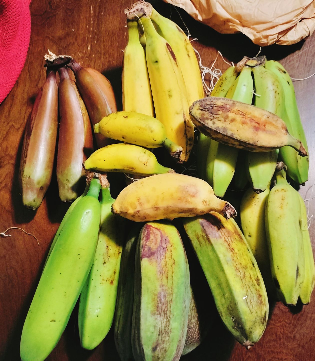 Customer photo review of Banana Variety Box