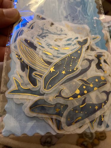 Customer photo review of Magic Land Paper Stickers