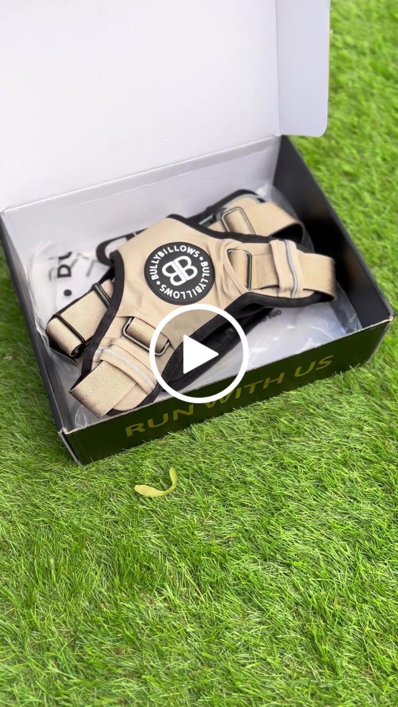 Customer video review of Premium Comfort Harness | Non Restrictive & Adjustable - Light Military Tan