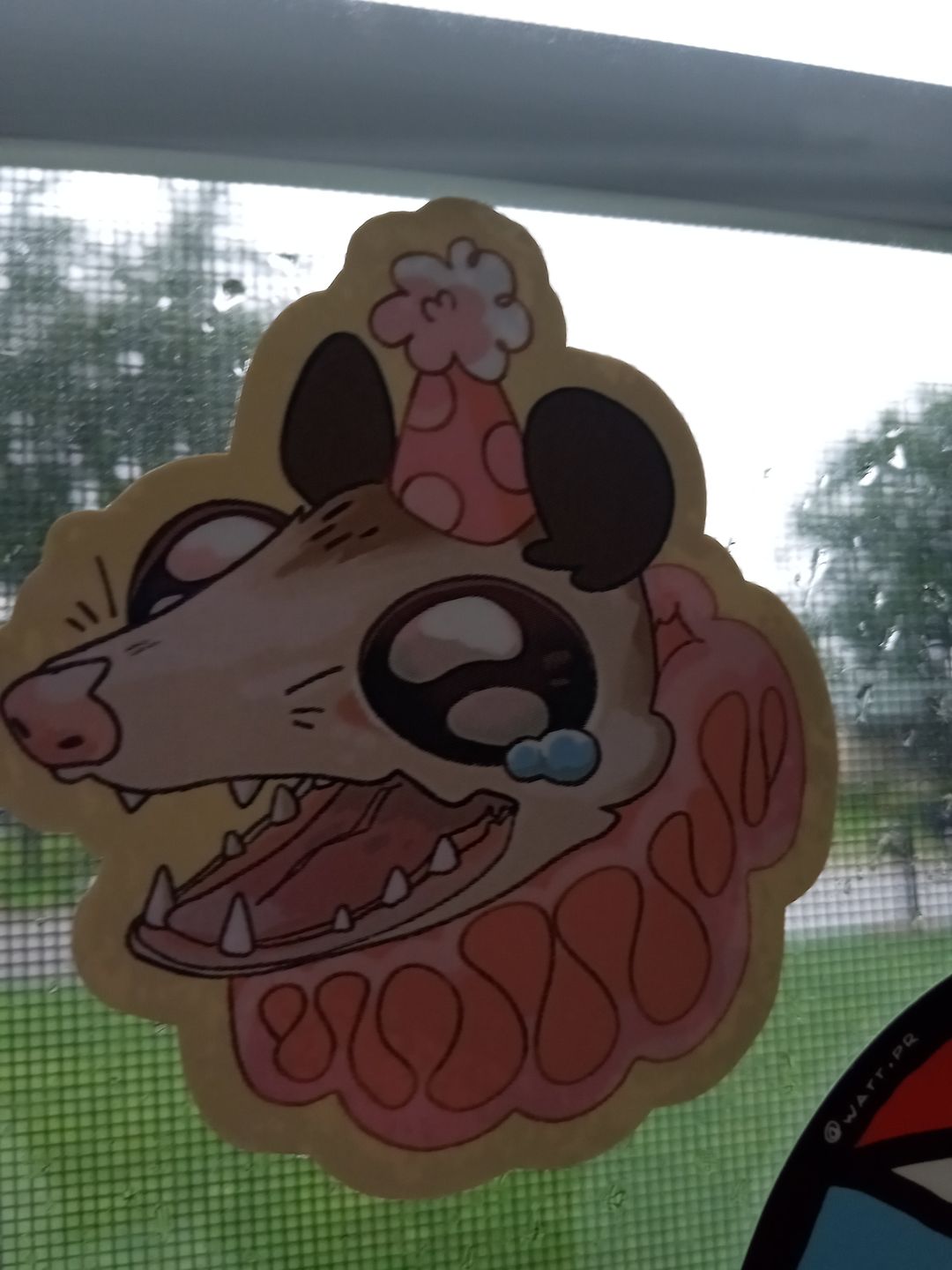 Customer photo review of Sad Party Opossum Stickers!